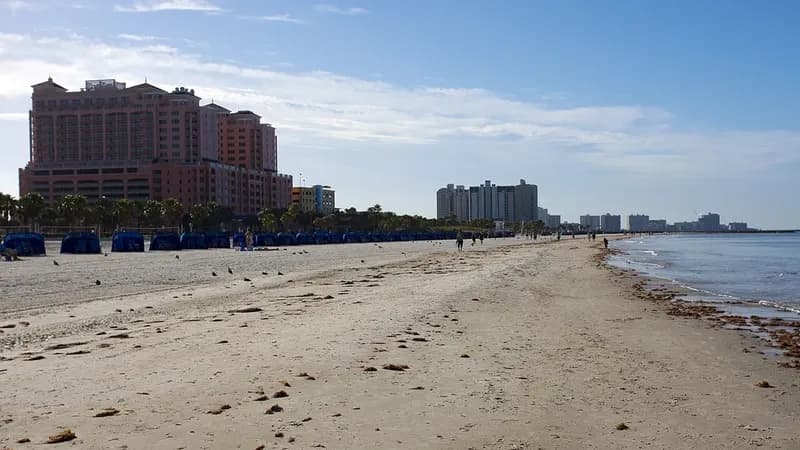 Clearwater, Florida local real estate area